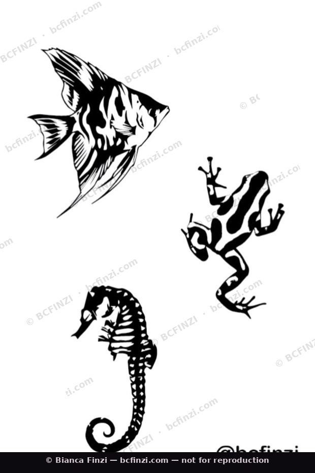 Angelfish, frog & seahorse — available flash tattoo design by Bianca Finzi, Austin TX