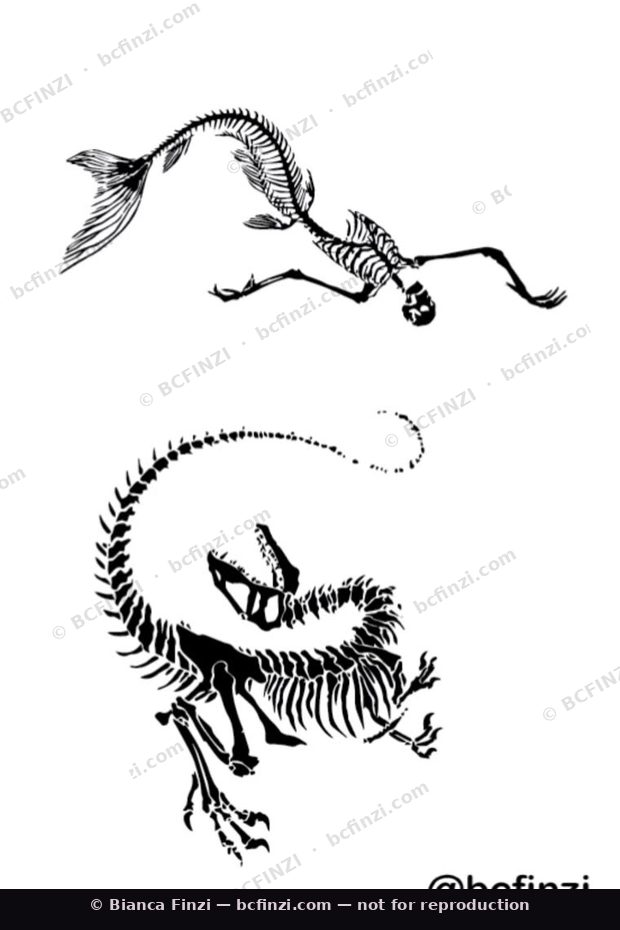 Skeleton mermaid & raptor — available flash tattoo design by Bianca Finzi, Austin TX