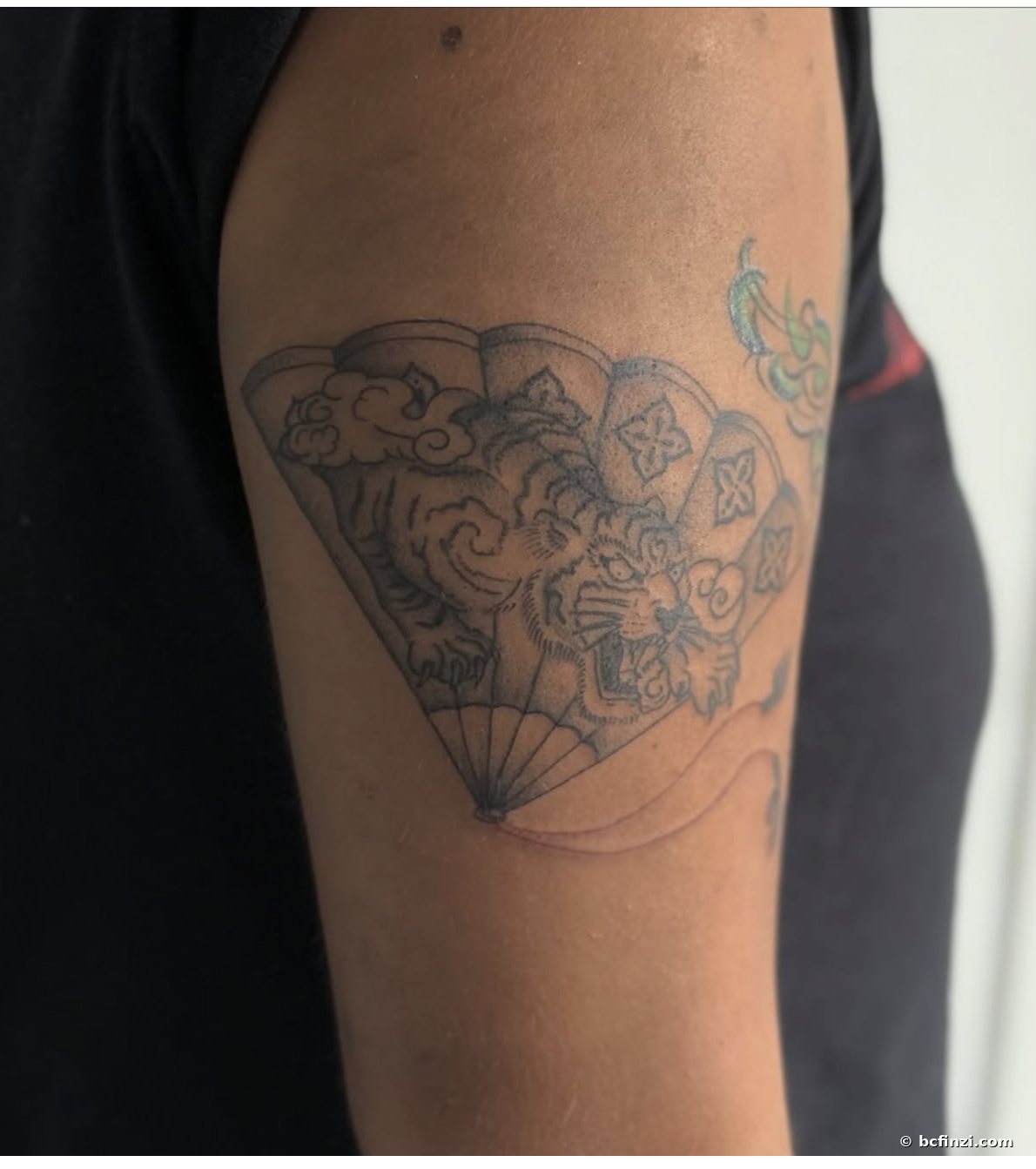 Fan-koi & Tiger — illustrative tattoo — by Bianca Finzi, Austin TX