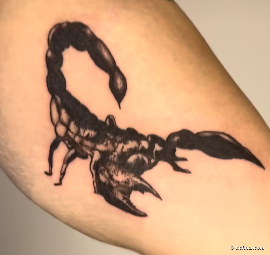 Scorpion — blackwork tattoo — by Bianca Finzi, Austin TX