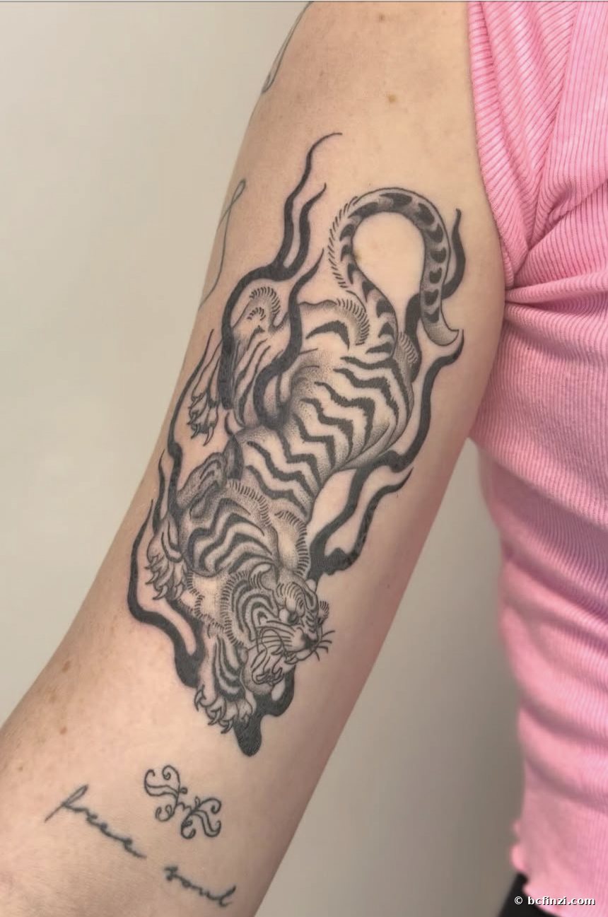 Tiger sleeve — illustrative tattoo — on the sleeve — by Bianca Finzi, Austin TX (healed)