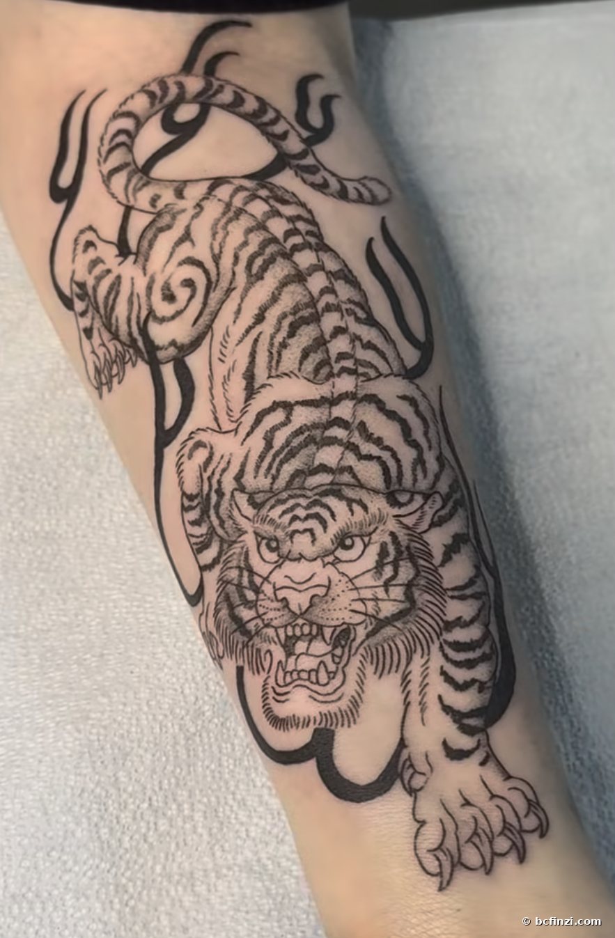 Tiger — illustrative tattoo — on the forearm — by Bianca Finzi, Austin TX (healed)
